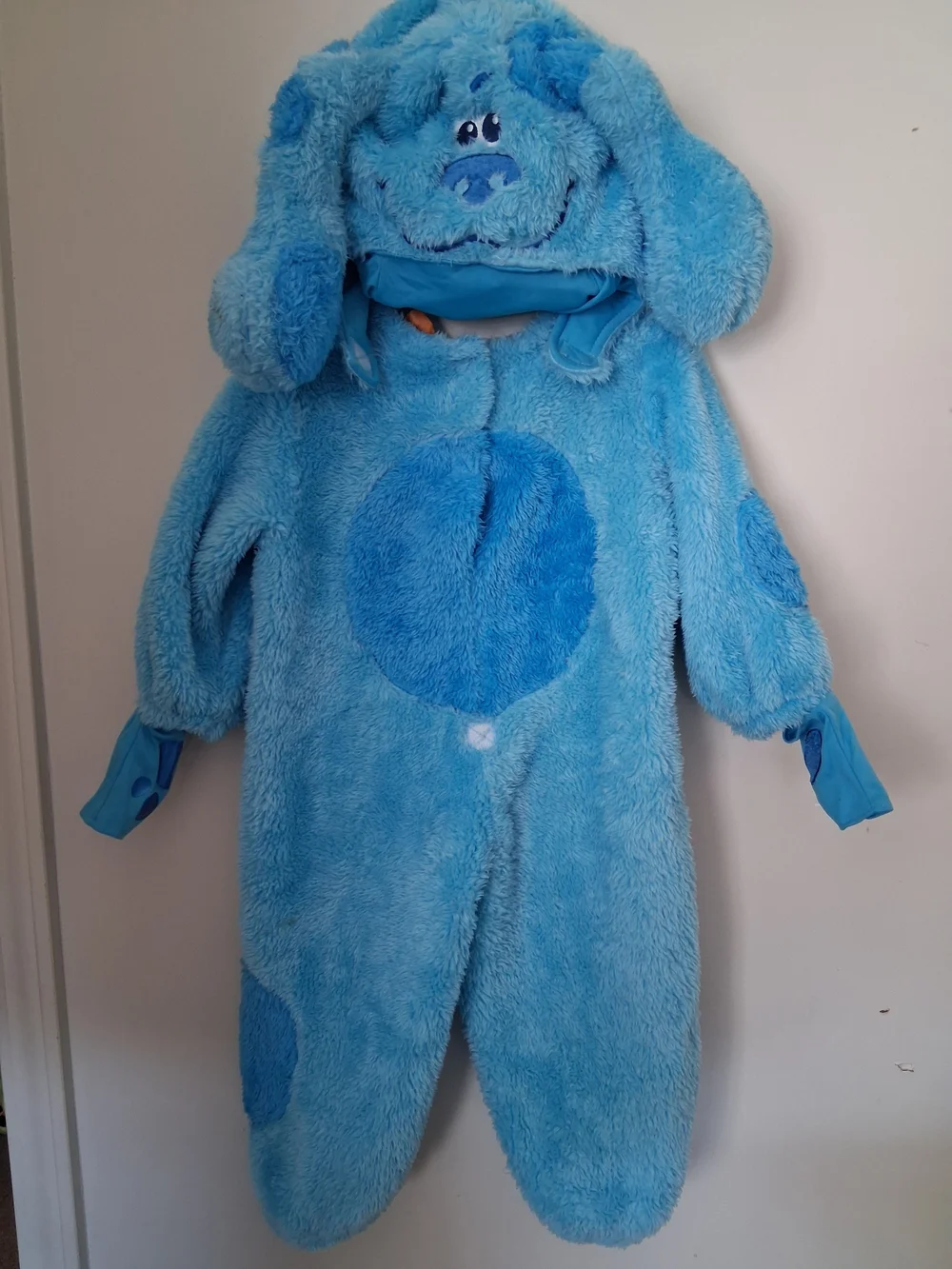 Nickelodeon Blues Clues Costume